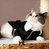 Cats Tuxedo Formal Party Suit