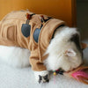 Trench Coat Winter Pet Woolen Jacket